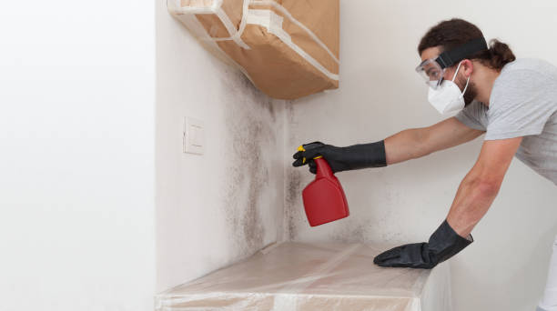 Professional Attic Mold Remediation technician working in Capron, VA