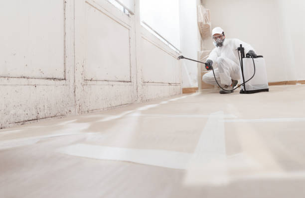 24/7 Emergency Attic Mold Remediation experts in Capron, VA