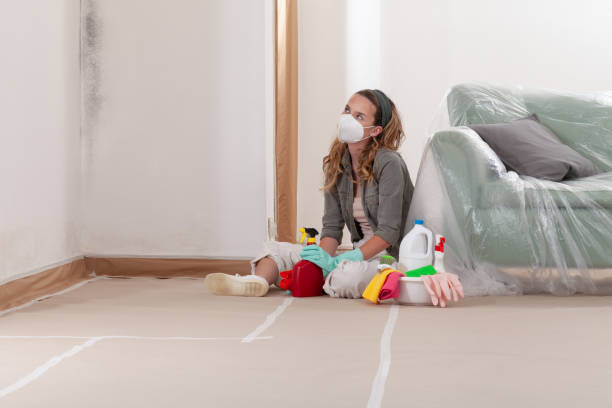 Reliable Attic Mold Remediation contractor in Capron, VA by Car Mold Remediation