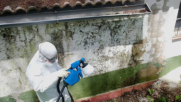 Top rated local Attic Mold Remediation specialists in Capron, VA